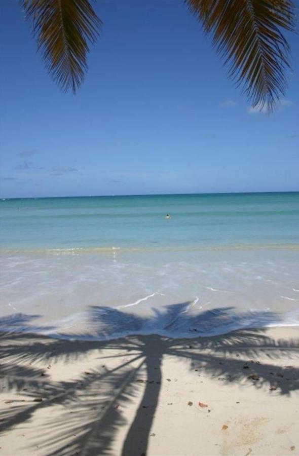 T2 Les Pieds Dans L'Eau Face A La Mer Des Caraibes Sainte Luce - Trois Rivieres Bagian luar foto
