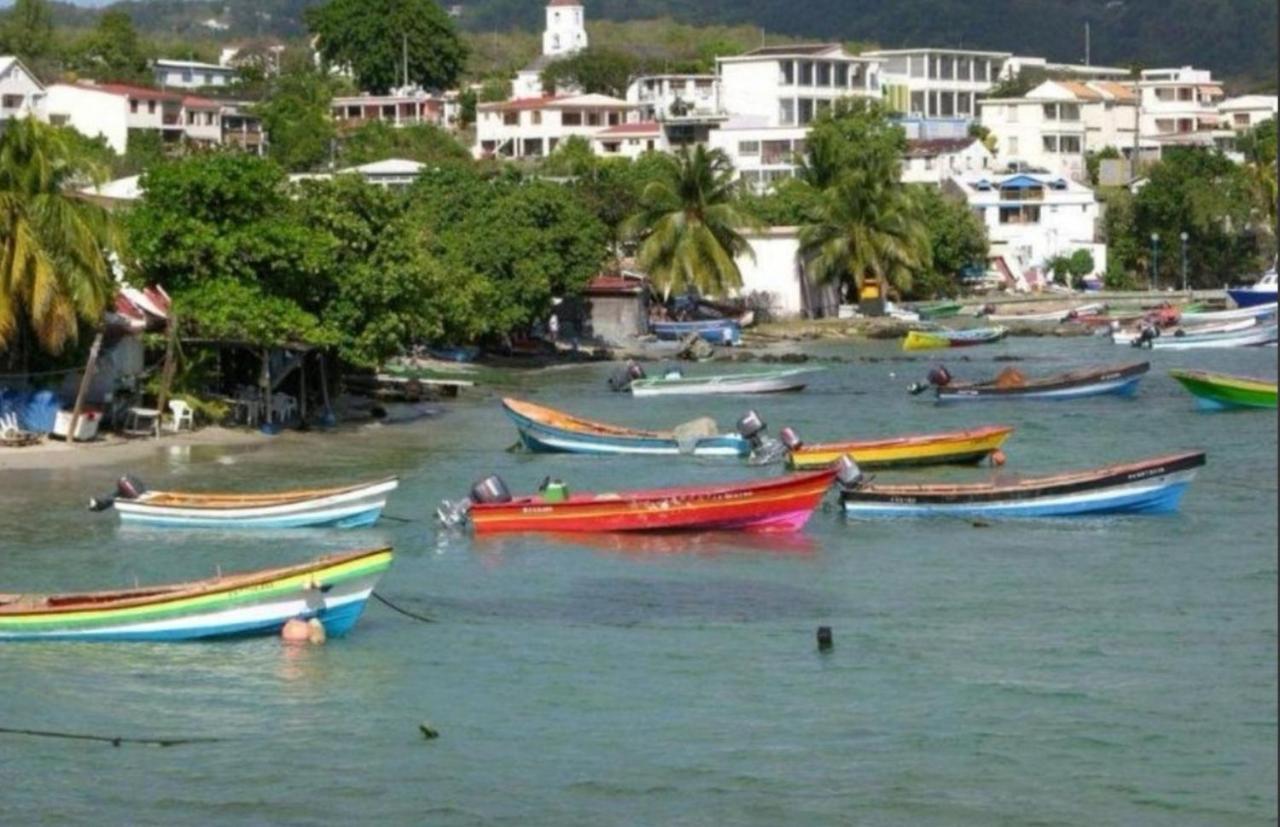 T2 Les Pieds Dans L'Eau Face A La Mer Des Caraibes Sainte Luce - Trois Rivieres Bagian luar foto